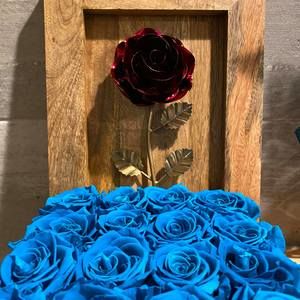 Meet your Posher, Ning